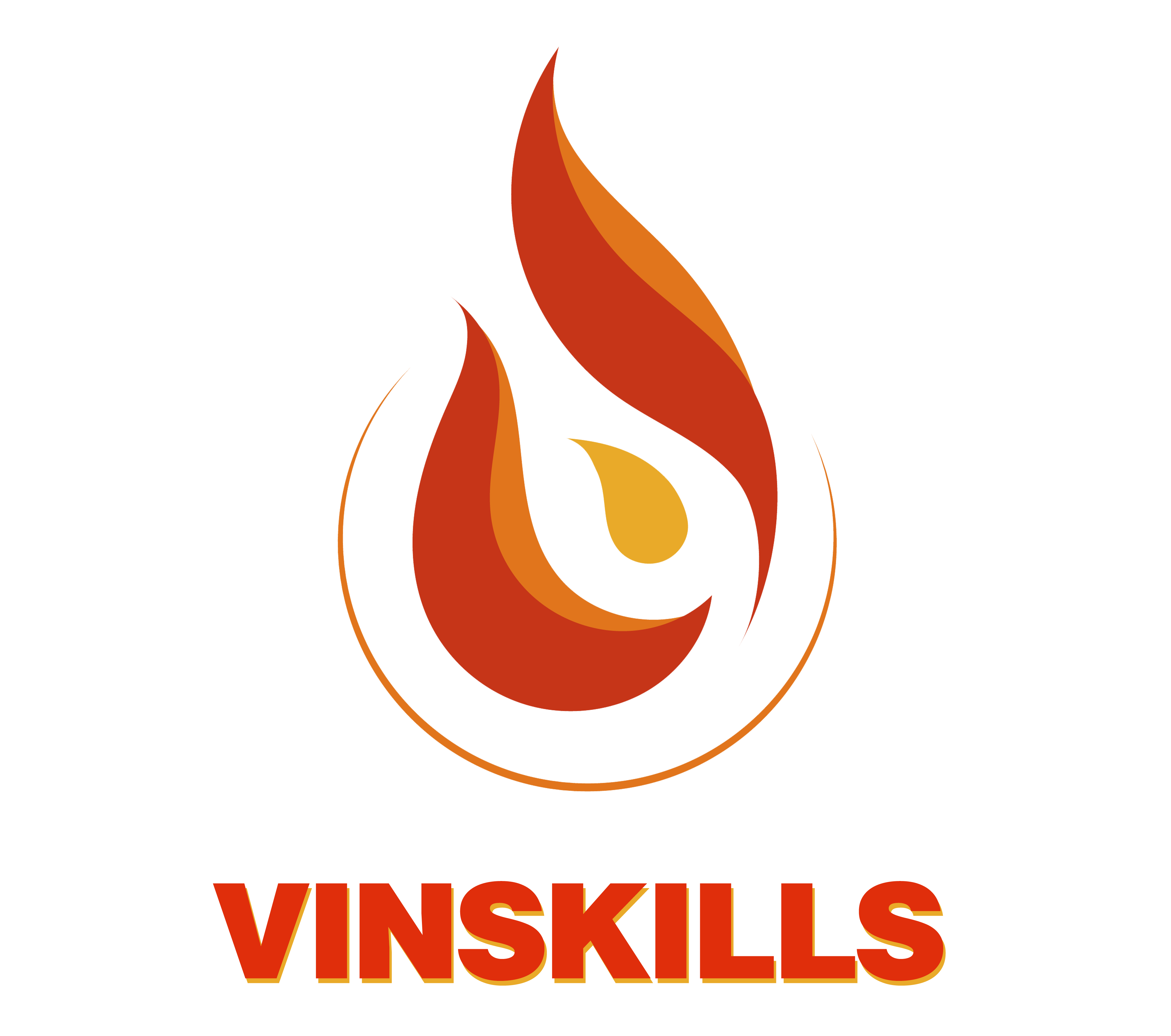 Logo Vinskills